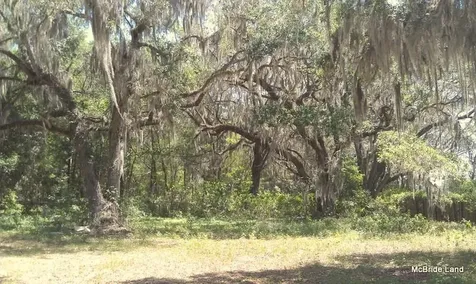 17001 SW Highway 484 Dunnellon FL 34432