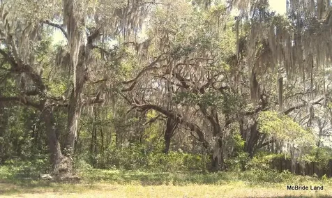 17001 SW Highway 484 Dunnellon FL 34432