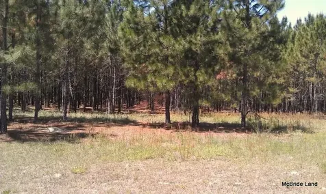 17001 SW Highway 484 Dunnellon FL 34432