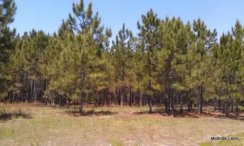 17001 SW Highway 484 Dunnellon FL 34432