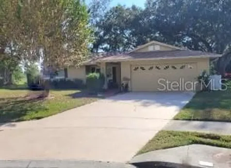 2856 Neil Court Palm Harbor FL 34684
