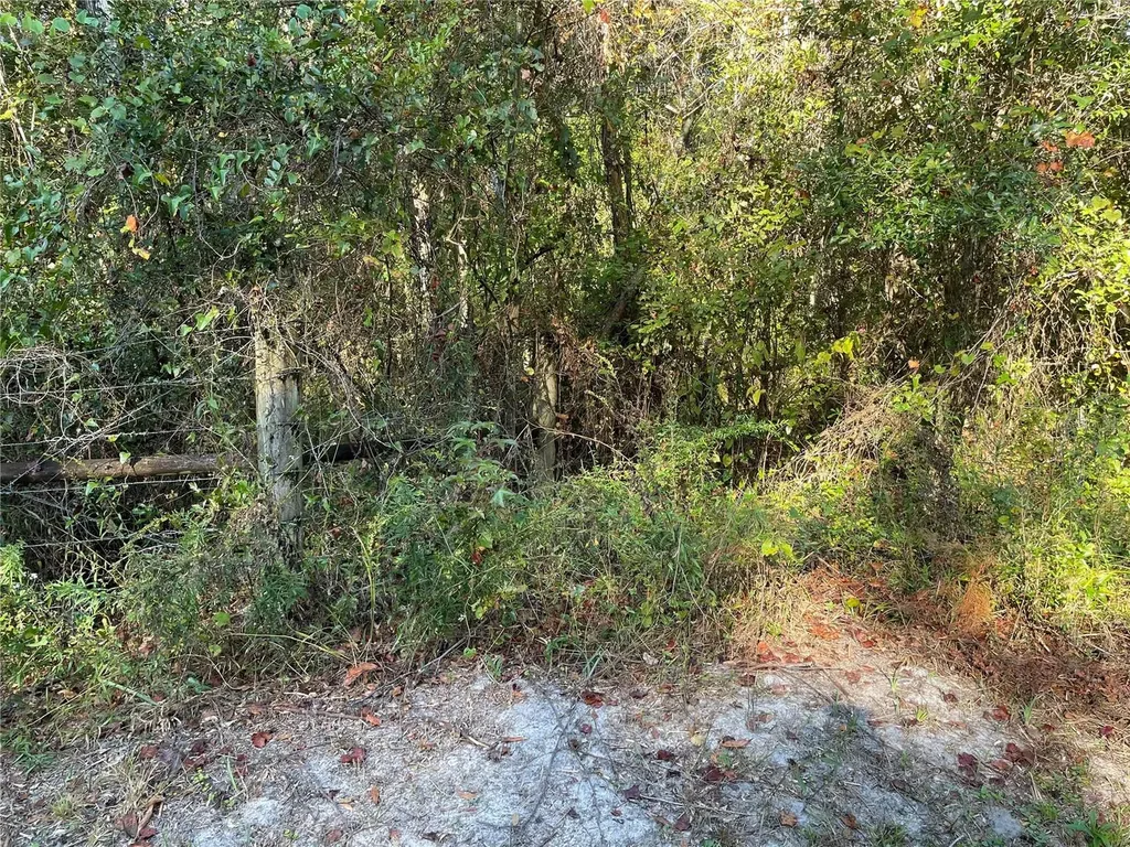Tbd SE 5th Avenue Lake Butler FL 32054