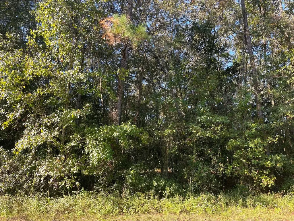 Tbd SE 5th Avenue Lake Butler FL 32054