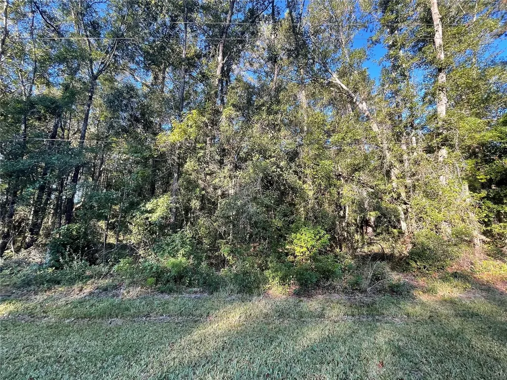 Tbd SE 5th Avenue Lake Butler FL 32054