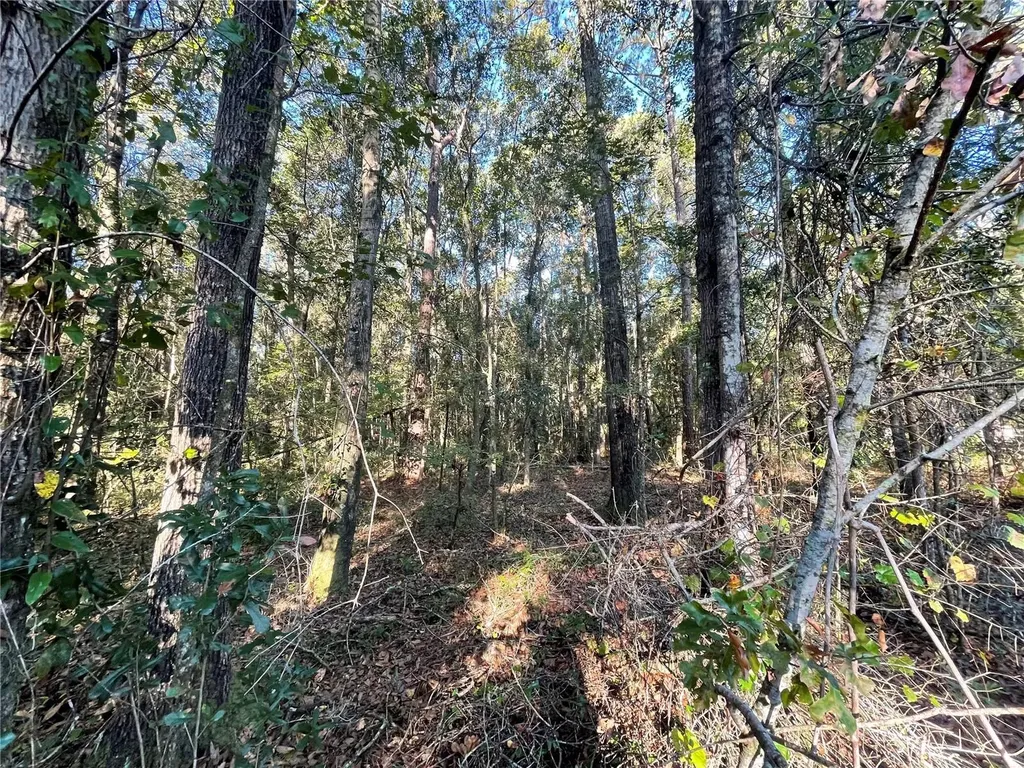 Tbd SE 5th Avenue Lake Butler FL 32054