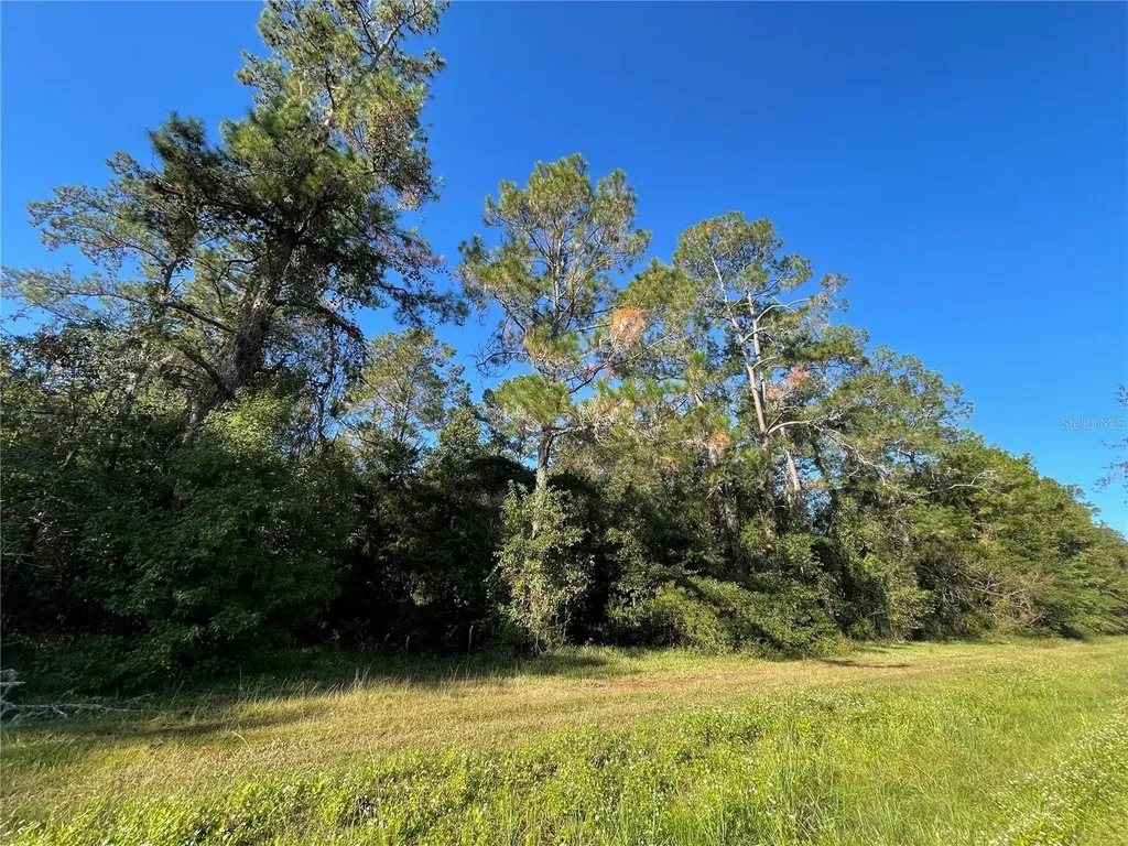 Tbd SE 5th Avenue Lake Butler FL 32054