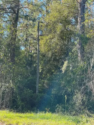 Tbd SE 5th Avenue Lake Butler FL 32054