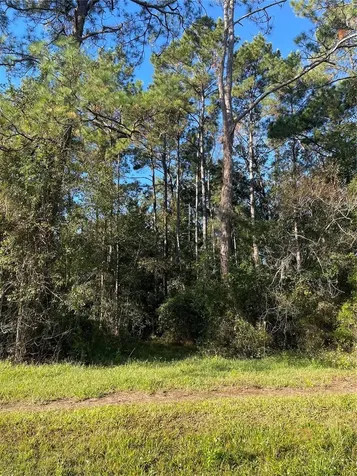 Tbd SE 5th Avenue Lake Butler FL 32054