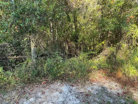 Tbd SE 5th Avenue Lake Butler FL 32054