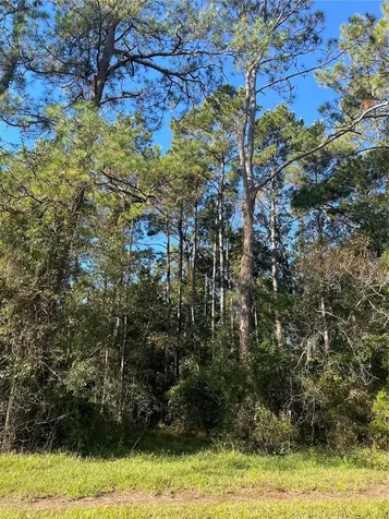 Tbd SE 5th Avenue Lake Butler FL 32054