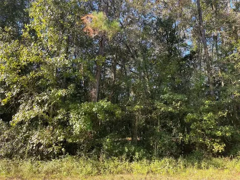 Tbd SE 5th Avenue Lake Butler FL 32054