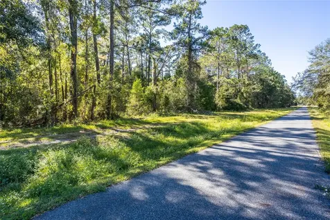 Tbd SE 5th Avenue Lake Butler FL 32054