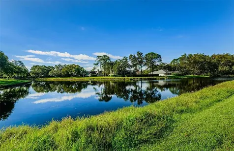 14040 Trouville Drive Tampa FL 33624