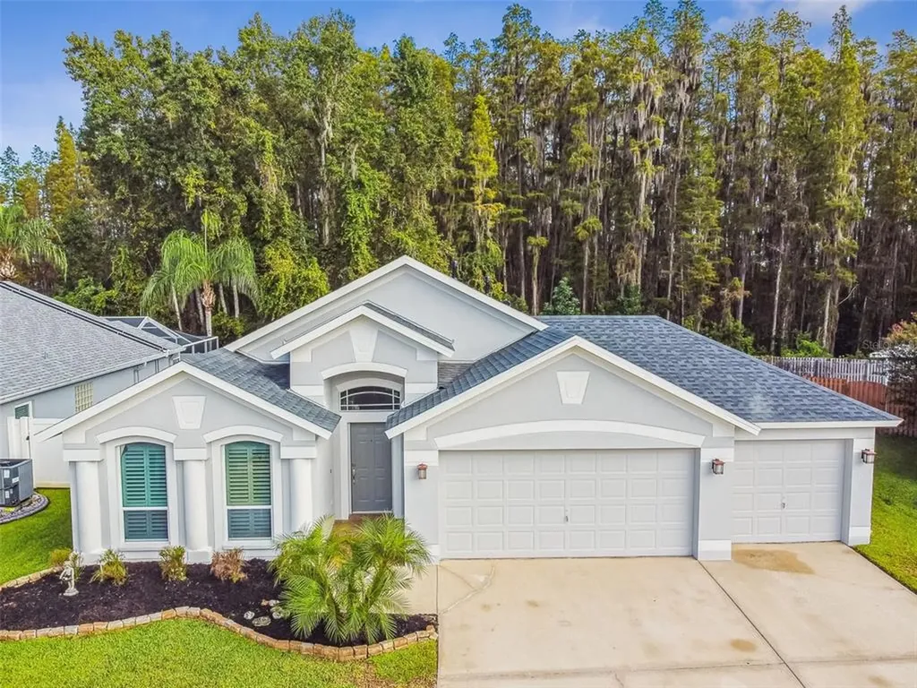 30359 Glenham Court Wesley Chapel FL 33543