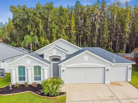 30359 Glenham Court Wesley Chapel FL 33543