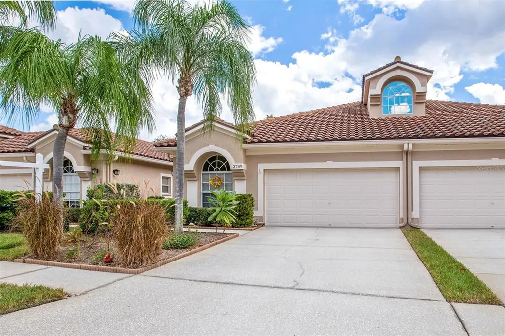 3789 Darston Street Palm Harbor FL 34685
