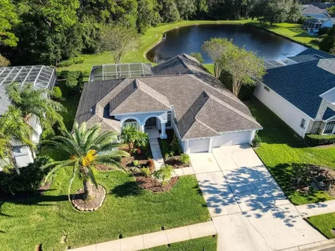 4040 Ligustrum Drive Palm Harbor FL 34685