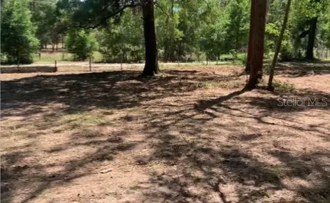 9767 SW 160th Street Dunnellon FL 34432