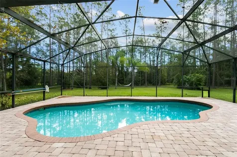 12016 Gray Birch Circle Orlando FL 32832