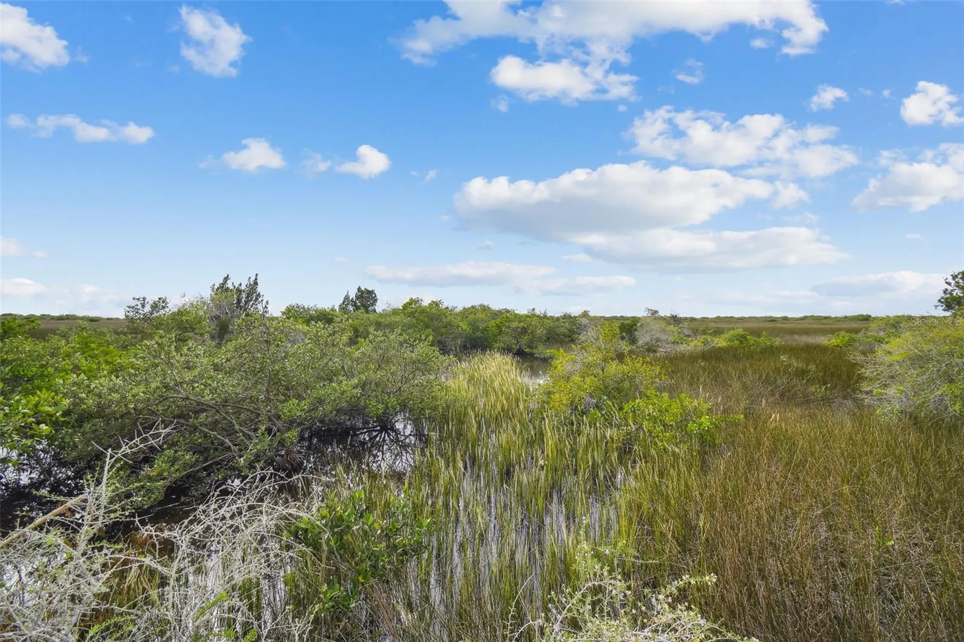 Southwind Drive Hudson FL 34667