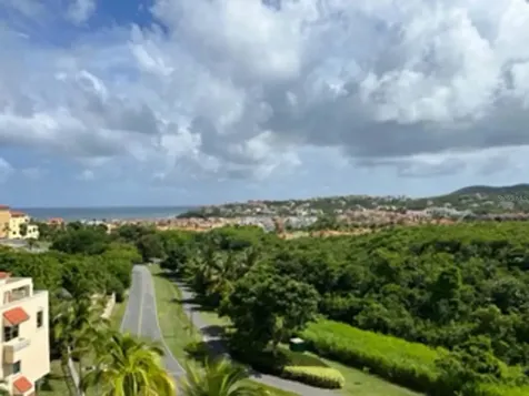 Palms Inn Drive Palmanova Village Humacao PR 00791