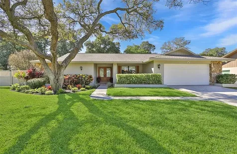1482 Treetop Drive Palm Harbor FL 34683