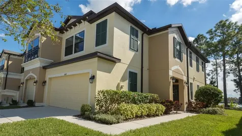 11428 Crowned Sparrow Lane Tampa FL 33626