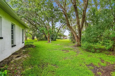 8631 Gold Pine Drive Port Richey FL 34668