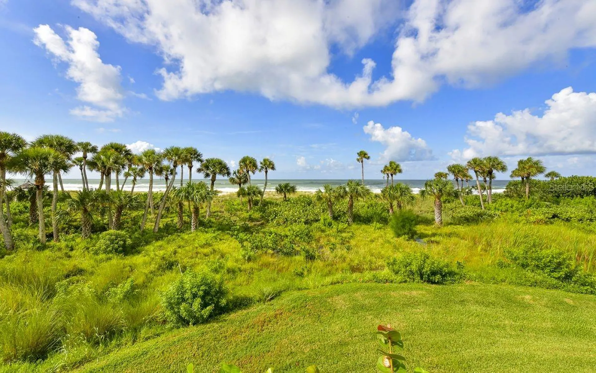 1485 Gulf Of Mexico Drive Longboat Key FL 34228