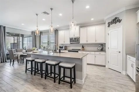 33166 Cypress Bend Drive Wesley Chapel FL 33545