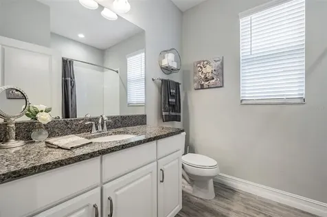 33166 Cypress Bend Drive Wesley Chapel FL 33545