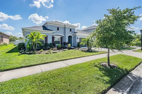 33166 Cypress Bend Drive Wesley Chapel FL 33545