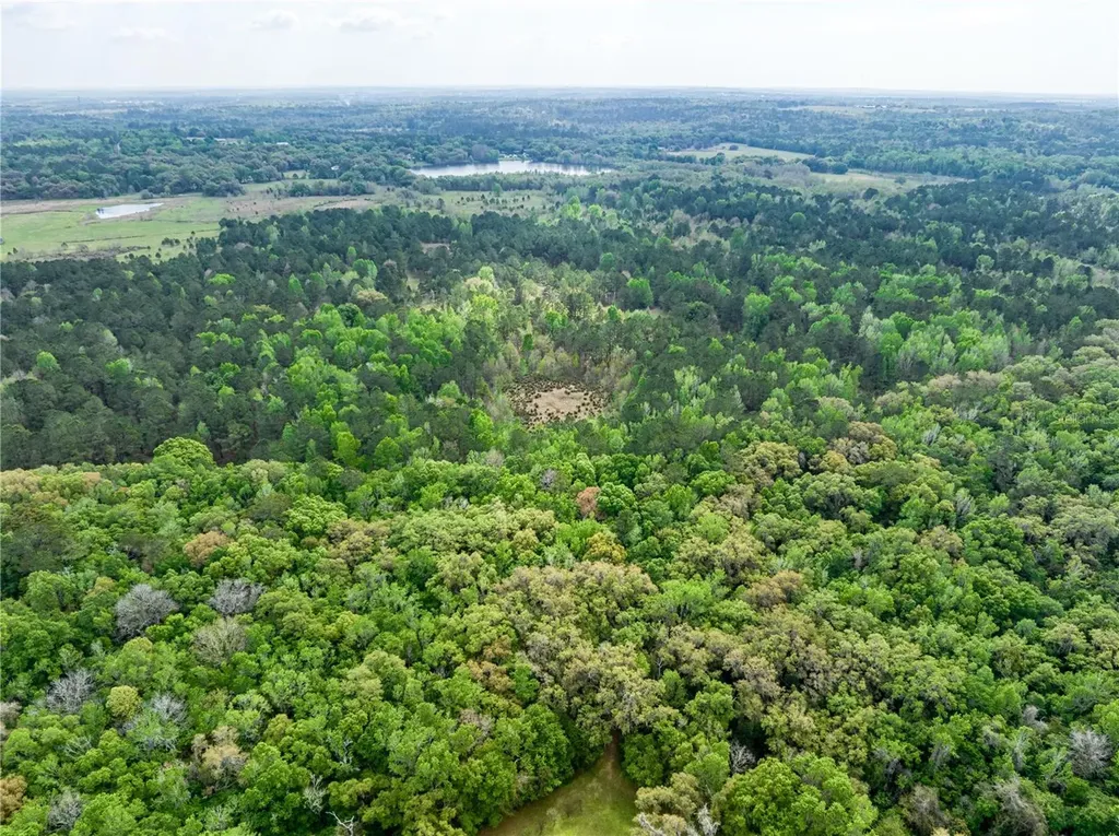 22374 Cortez Boulevard Brooksville FL 34601