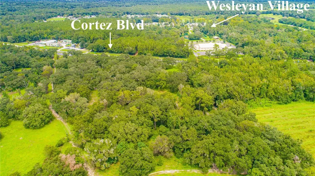 22374 Cortez Boulevard Brooksville FL 34601