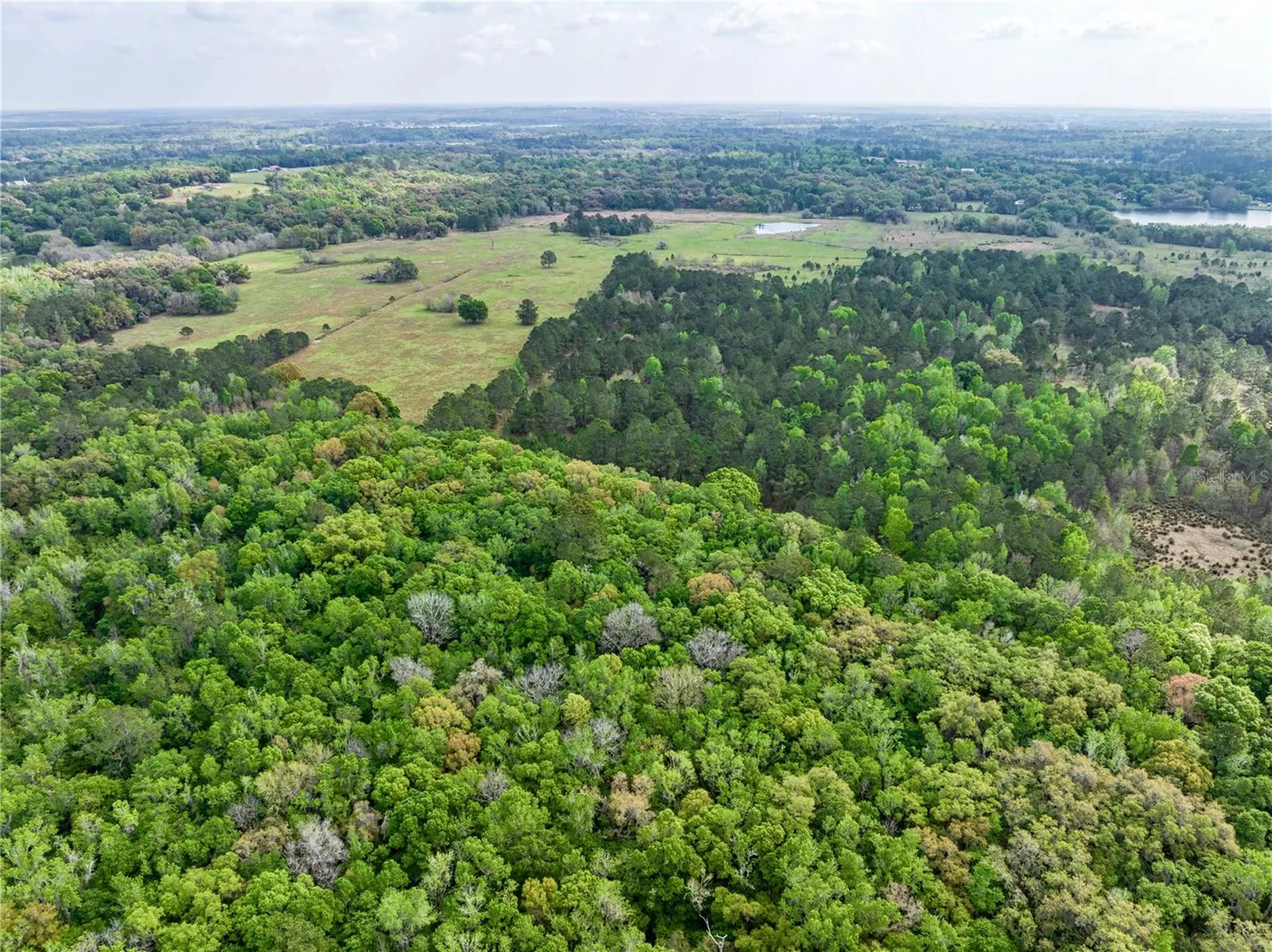 22374 Cortez Boulevard Brooksville FL 34601