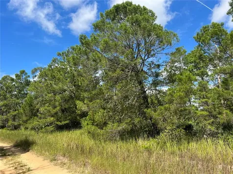 2972 W Rutland Road Avon Park FL 33825