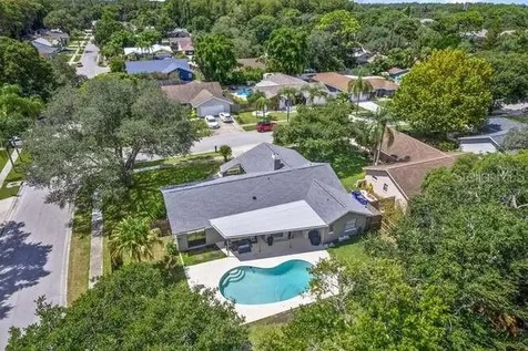 3594 Scarlet Tanager Drive Palm Harbor FL 34683