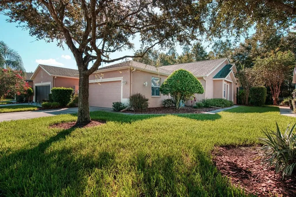 21142 Diamonte Drive Land O Lakes FL 34637