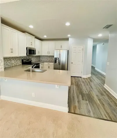 9205 Halsey Drive Groveland FL 34736