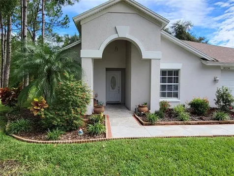 18534 Otterwood Avenue Tampa FL 33647