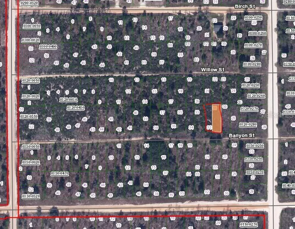 00 Banvon Street Interlachen FL 32148