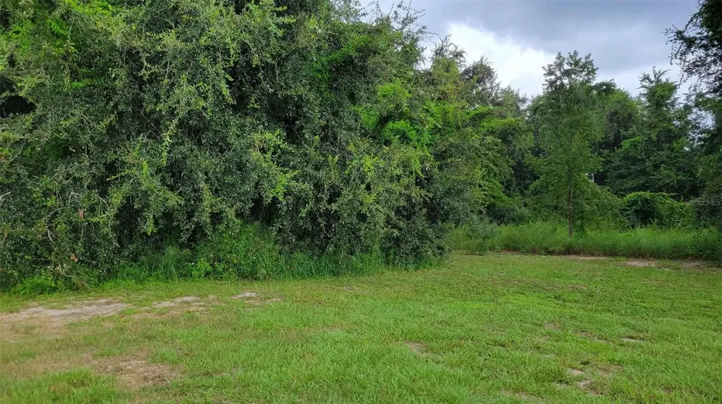 6641 Wynn Lane Groveland FL 34736
