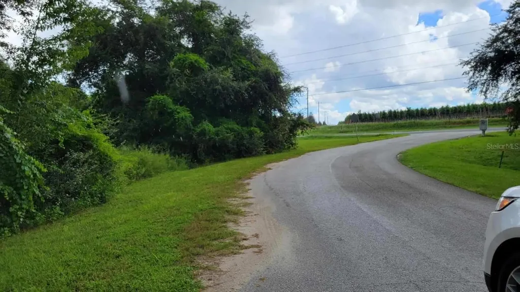6641 Wynn Lane Groveland FL 34736