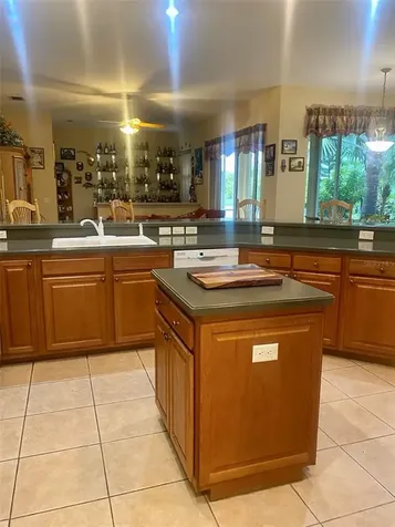 4505 Lake Fox Place Parrish FL 34219