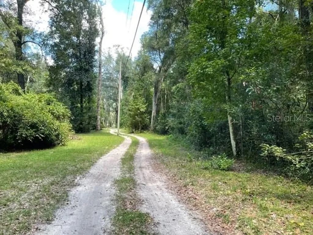 119 NE 675th Street Old Town FL 32680