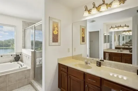 3849 Olde Lanark Drive Land O Lakes FL 34638