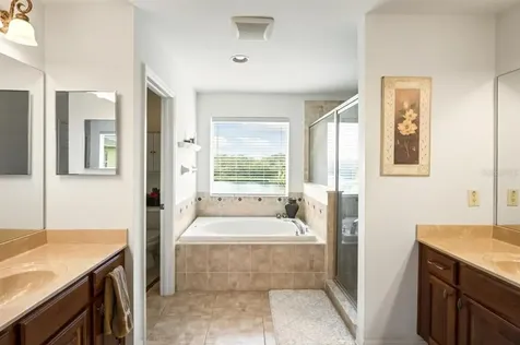 3849 Olde Lanark Drive Land O Lakes FL 34638