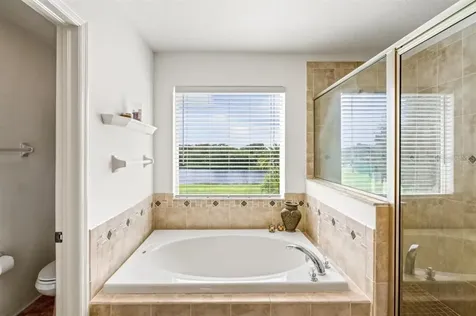 3849 Olde Lanark Drive Land O Lakes FL 34638