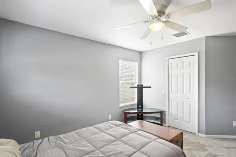 3849 Olde Lanark Drive Land O Lakes FL 34638