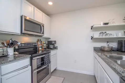 1106 Swaying Sawgrass Avenue Ruskin FL 33570